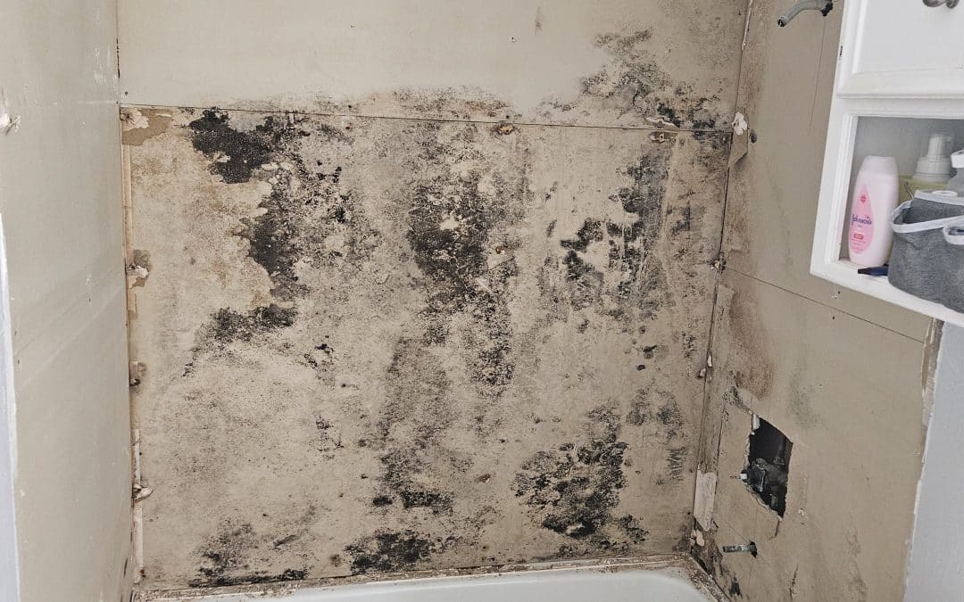 How to Spot Mold in Your Bathroom, Especially Behind the Tile